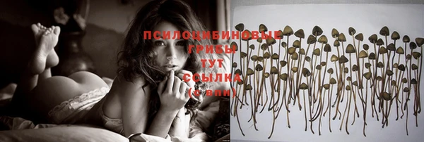 apvp Лихославль