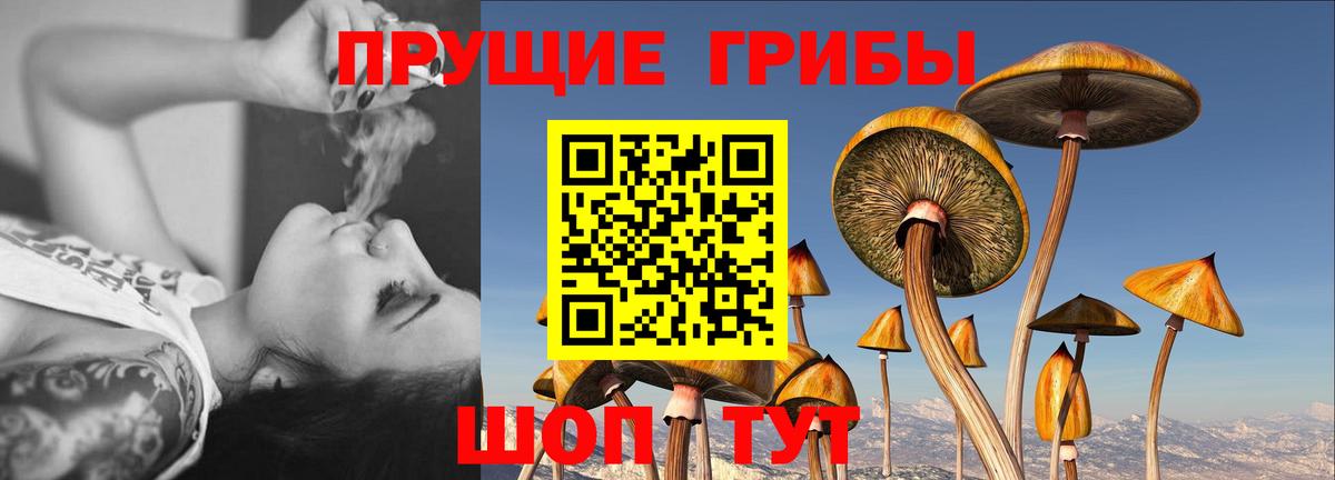 Псилоцибиновые грибы Magic Shrooms  закладка  Лесосибирск  Вход с VPN 